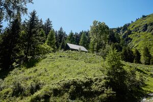 Mitterrieden oppenberg-100-2020-06-12-2.jpg