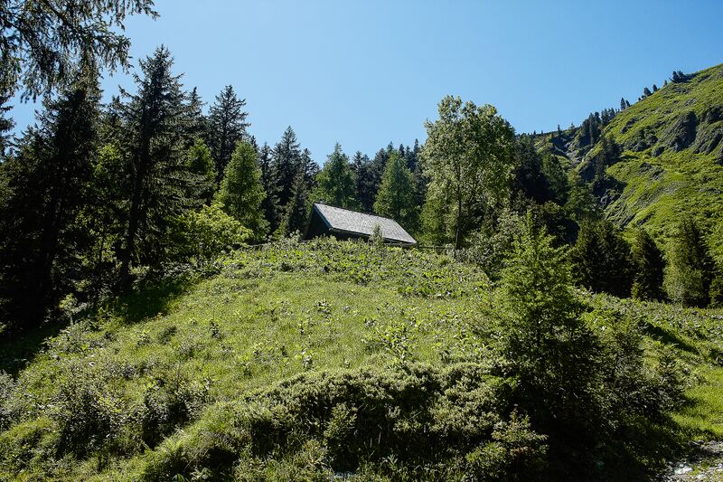 Datei:Mitterrieden oppenberg-100-2020-06-12-2.jpg