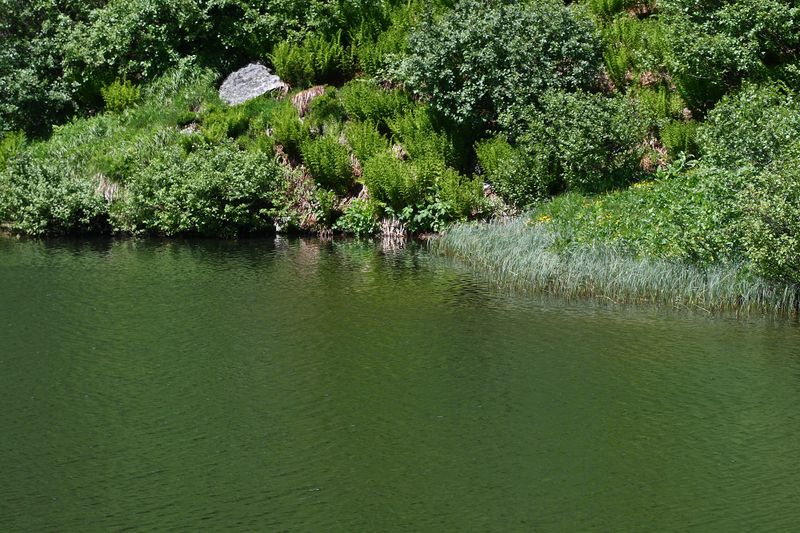 Datei:Plannersee 65305 2014-06-26.jpg