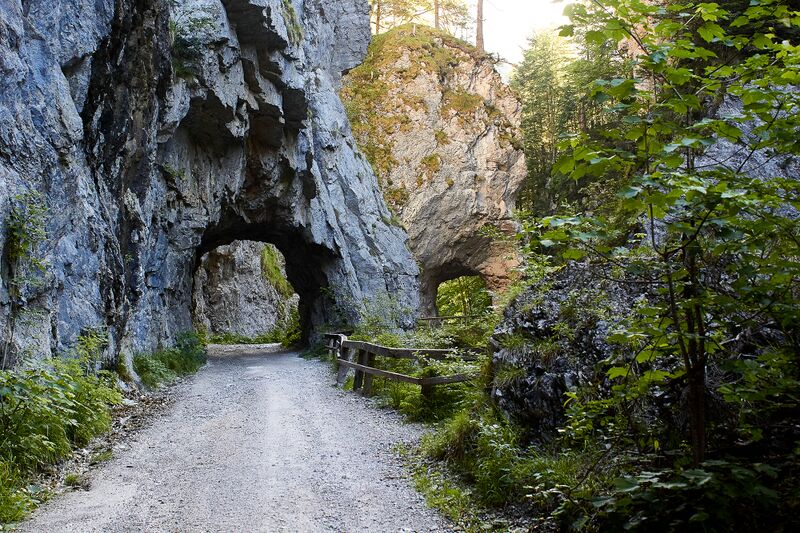 Datei:Teufelsklamm Johnsbach-2012-2021-07-03.jpg
