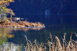 Toplitzsee 77695 2014-11-03.jpg