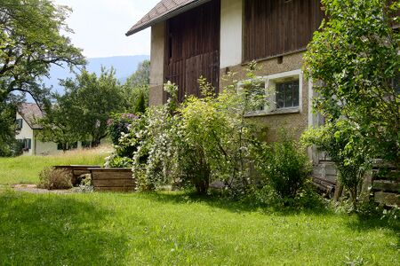 Vlg pichler latsching-0888-2023-06-16.jpg