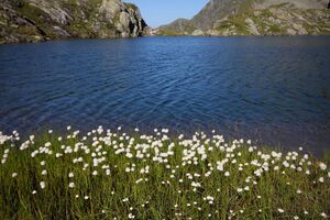 Wildlochsee 35730 2011-08-23.jpg