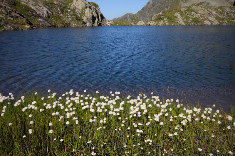 Datei:Wildlochsee 35730 2011-08-23.jpg