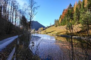 Almseeteich burgstaller 13971 2015-11-12.jpg