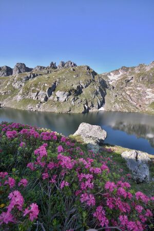Brettersee 9803 2010-07-11.jpg