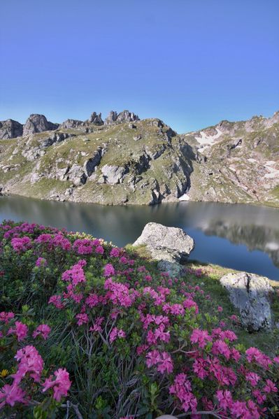 Datei:Brettersee 9803 2010-07-11.jpg