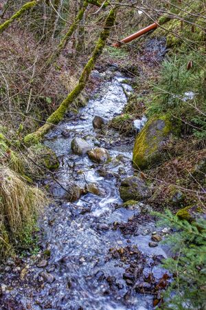 Dorfergrabenbach 53397 2014-01-10.jpg