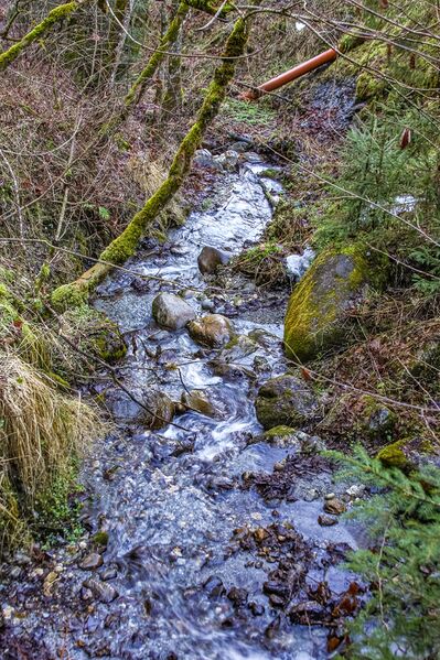 Datei:Dorfergrabenbach 53397 2014-01-10.jpg