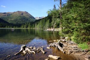 Etrachsee 4974 13-09-04.jpg