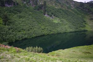 Finsterkarsee 1154 13-07-12.jpg