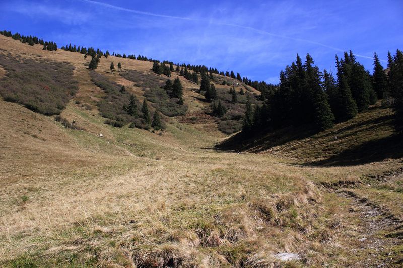 Datei:Horningalm 61446 2017-10-11.jpg