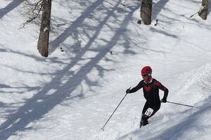 Hubsi-Lauf 2015-6453 n.jpg