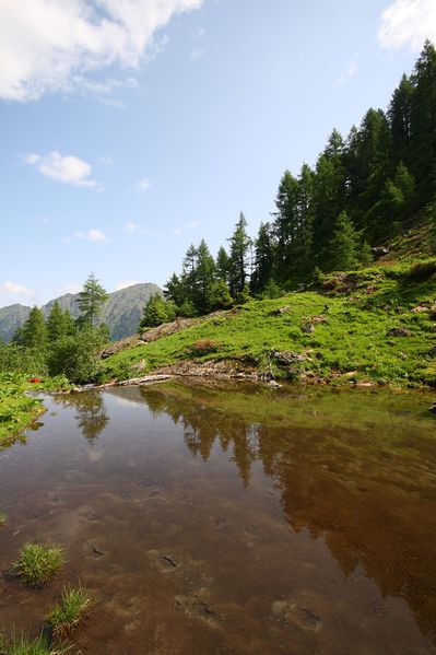 Datei:Im wildkar 23556 2008-06-26.jpg