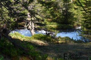 KeinprechtIMG 6657.jpg