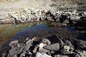 Oberer Wiegensee 75860 2014-10-18.jpg