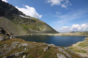 Rauhenbergsee 2898 2009-08-19.jpg