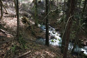 Strummern mühlreith 47235 2017-05-17.jpg