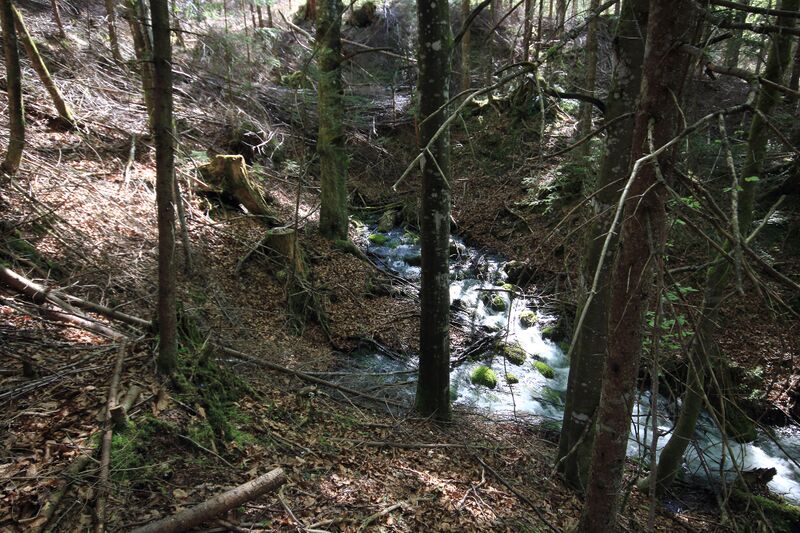 Datei:Strummern mühlreith 47235 2017-05-17.jpg