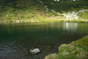 Untere riednersee 65368 2014-06-26.jpg