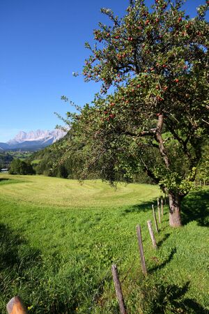 Untertal 12698 2008-09-09.jpg