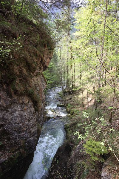 Datei:Wasserlochklamm palfau 70592 2018-04-23.jpg