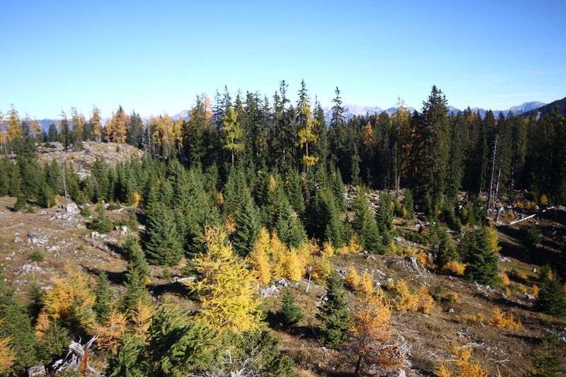 Datei:Beim bergereck 12838 2015-10-27.jpg