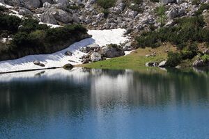 Dreibrüdersee 77808 2018-06-04.jpg