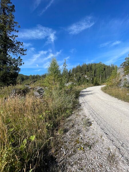 Datei:Elendwald bad aussee-14-2023-09-17.jpg