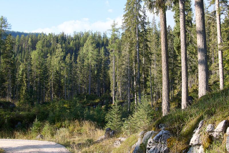 Datei:Grausen Straßen-BA-0045-2023-09-17.jpg