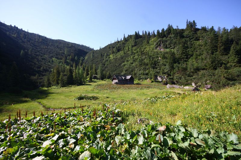 Datei:Karlhütte 982 13-08-05.jpg