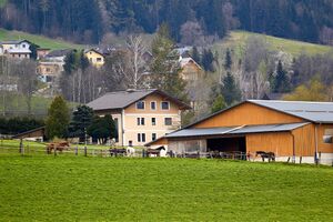 Moar in Niederdorf-0230-2023-04-23.jpg