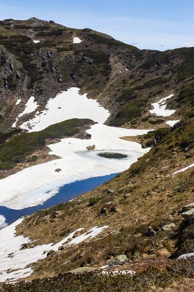 Datei:Obere riednersee-101-2020-06-12-2.jpg