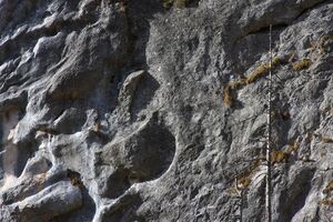 Oberwasseralm 79169 2014-11-15.jpg