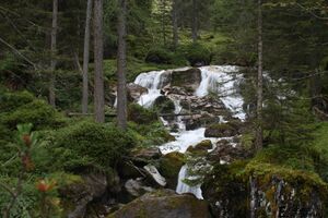 PreuneggbachIMG 5587.jpg