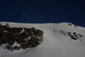 Schnabelkar 77422 2011-02-02.jpg