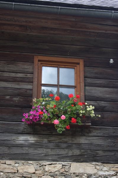 Datei:Schrempf vlg Moser0028.jpg