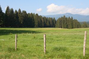 Spitzerwiese krungl-0147-2024-07-19.jpg