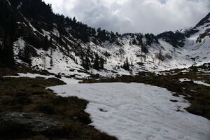 Strickerkar 55684 2014-05-02.jpg