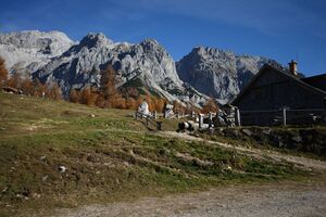 Walcheralm türlwand 11761 2015-11-04.jpg