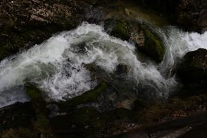 Wasserlochklamm palfau 70590 2018-04-23.jpg