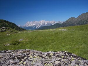 Wildkar 17544 2006-07-17.jpg