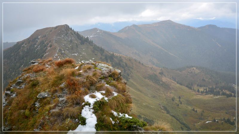 Datei:4 4 Leistenhorn.jpg