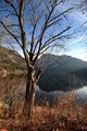 Altausseersee 79306 2014-11-15.jpg