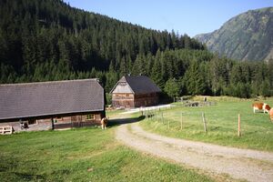 Beireutalm 1492 13-08-07.jpg