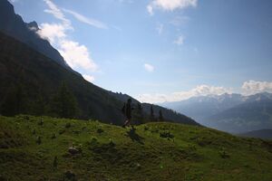 Brandriedel 22762 2008-06-10.jpg