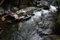 Donnersbachklamm 72862 2014-06-18.jpg