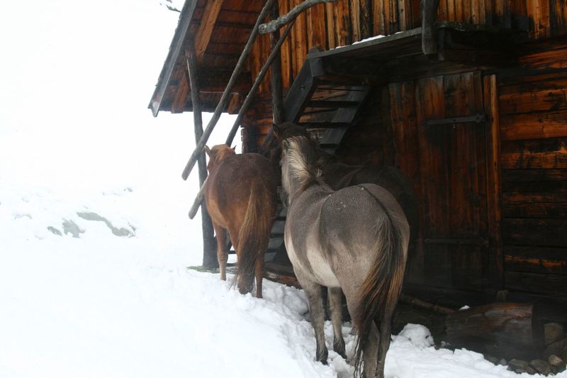 Datei:Duisitzkar 0168 2007-09-07.jpg