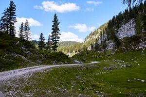 Große wiesmahd-0132-2022-06-12.jpg