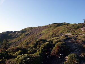 Guschen 15216 2002-06-30.jpg